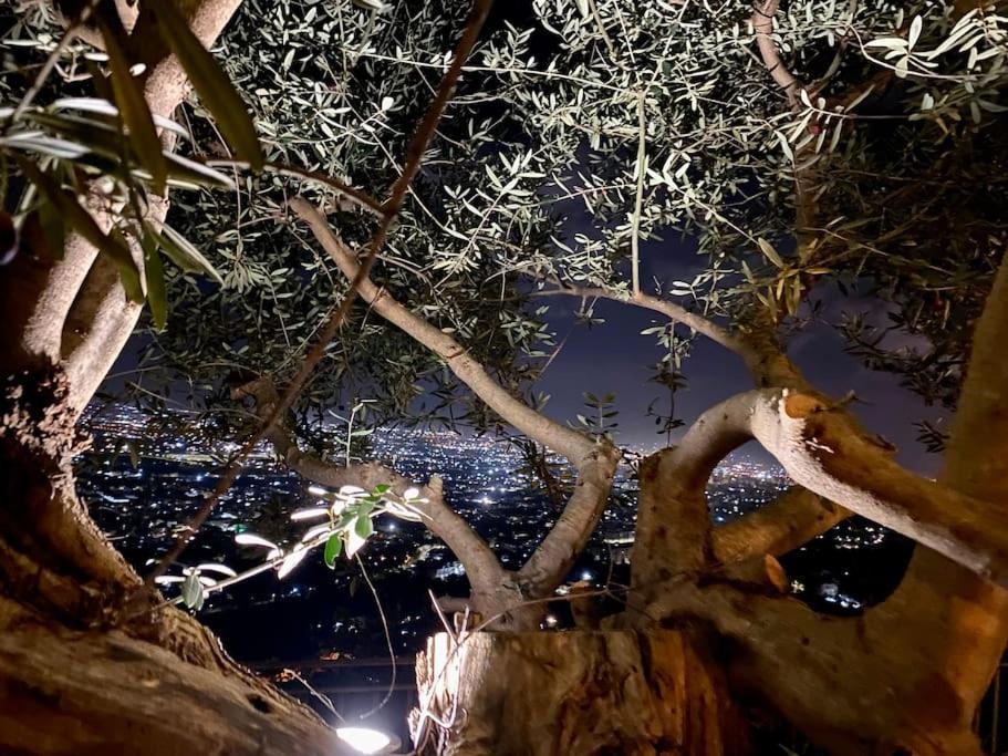 Casale Di Lusso Panoramico Βίλα Lettere Εξωτερικό φωτογραφία