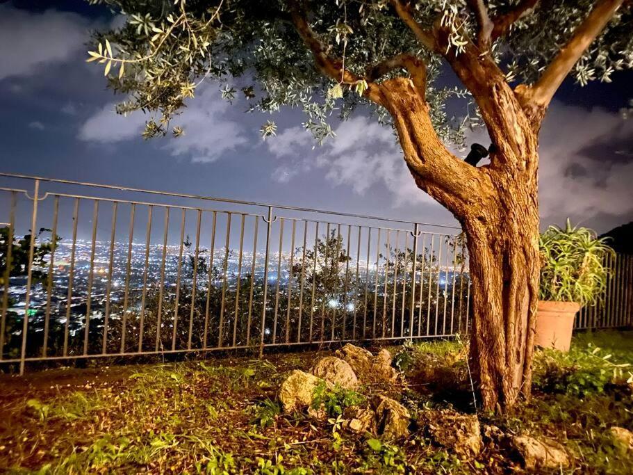 Casale Di Lusso Panoramico Βίλα Lettere Εξωτερικό φωτογραφία